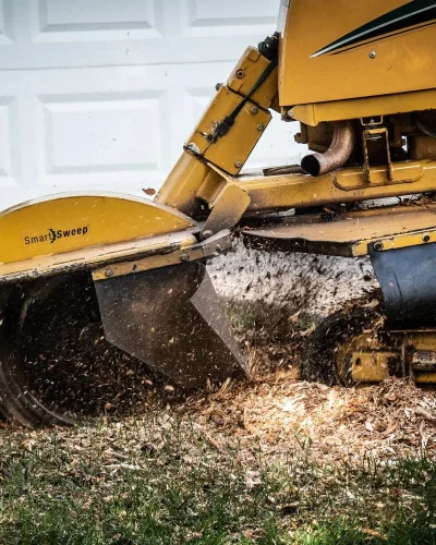 Stump-Grinding